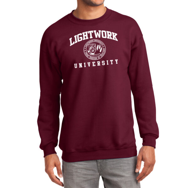 LIGHTWORK UNIVERSITY CARDINAL SWEATER