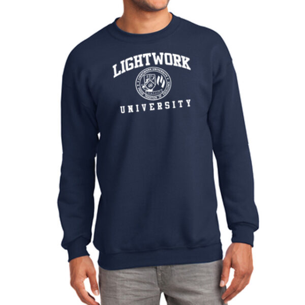 lightwork university sweater