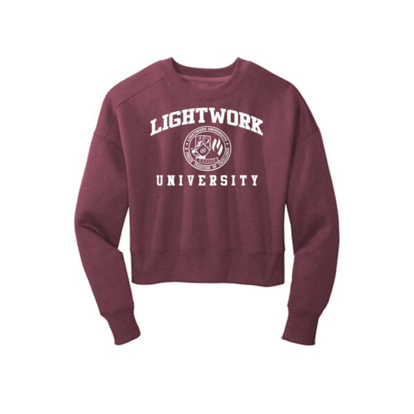 lightwork university crop top