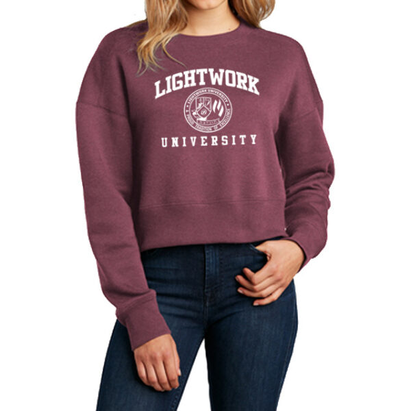 lightwork university crop top